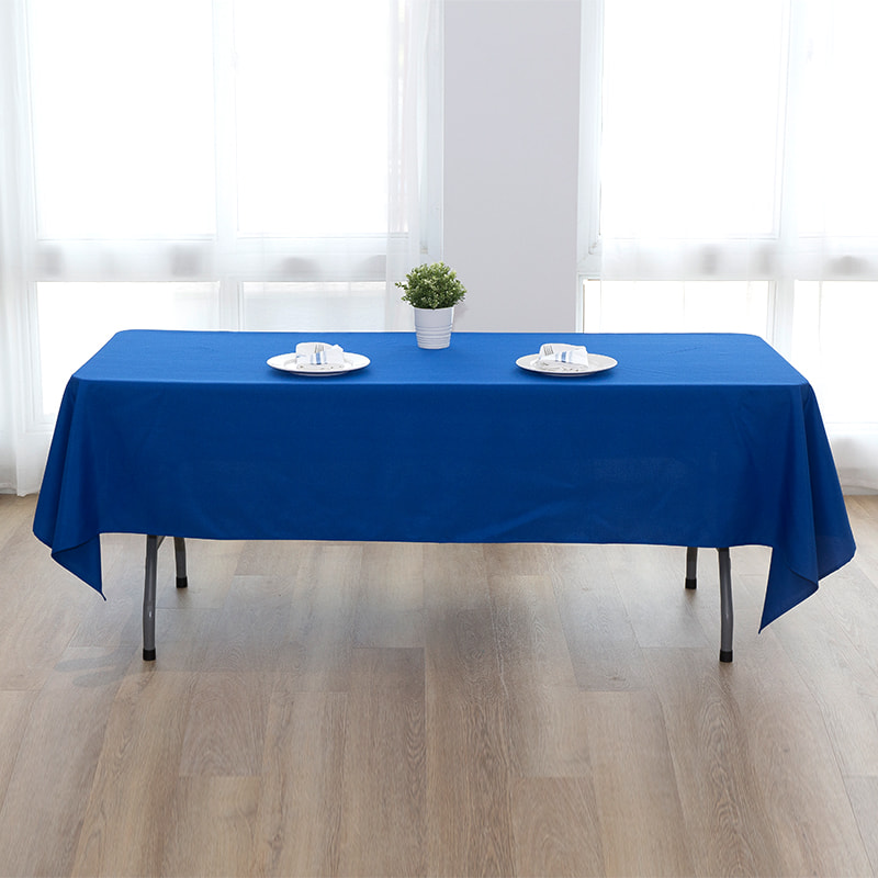 Polyester 60x102 '' 217GSM POLYEST