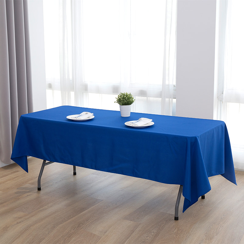 Polyester 60x102 '' 217GSM POLYEST